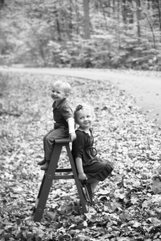 Enlarge photo 265
