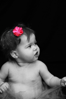 Enlarge photo 59