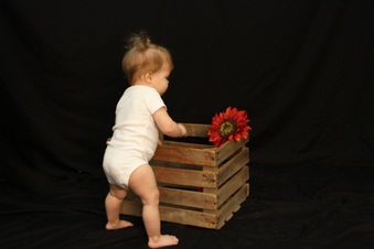 Enlarge photo 111