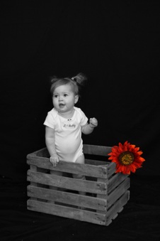 Enlarge photo 114