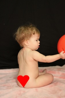 Enlarge photo 167