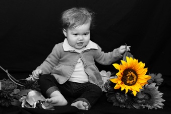 Enlarge photo 236