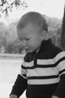 Enlarge photo 66