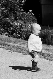 Enlarge photo 80