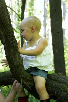 Enlarge photo 154