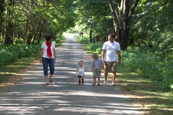 Enlarge photo 170