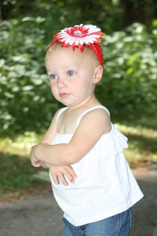 Enlarge photo 178