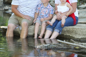 Enlarge photo 190