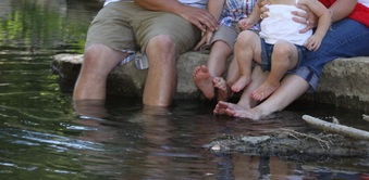Enlarge photo 196