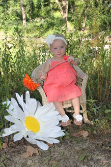 Enlarge photo 228