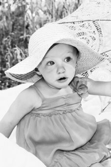 Enlarge photo 268