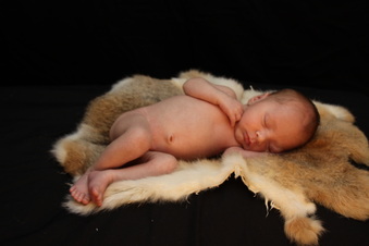 Enlarge photo 9