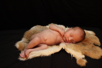 Enlarge photo 10