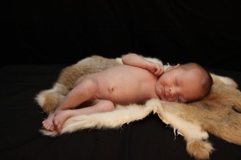 Enlarge photo 13