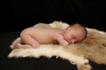 Enlarge photo 21