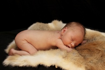 Enlarge photo 22