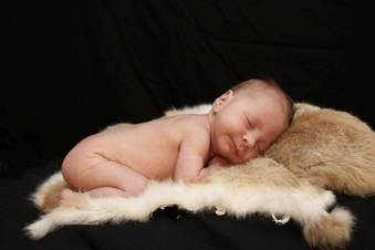 Enlarge photo 25