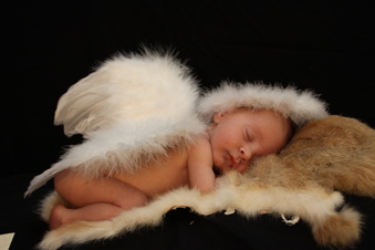 Enlarge photo 28