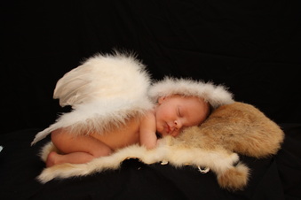 Enlarge photo 29