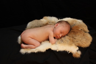 Enlarge photo 31