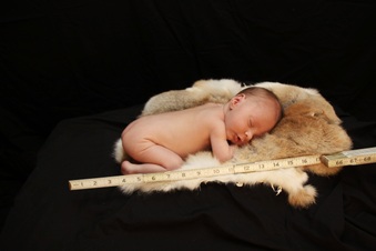 Enlarge photo 37