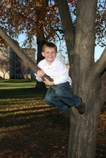 Enlarge photo 140