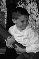 Enlarge photo 135