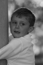 Enlarge photo 80
