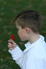 Enlarge photo 42