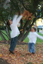 Enlarge photo 34