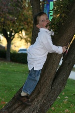 Enlarge photo 32
