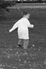 Enlarge photo 31