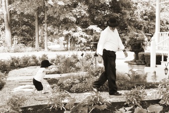 Enlarge photo 274
