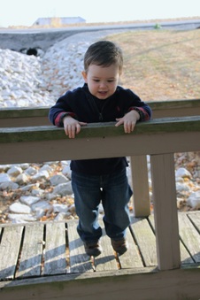 Enlarge photo 37