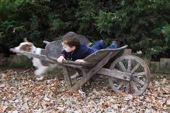 Enlarge photo 74