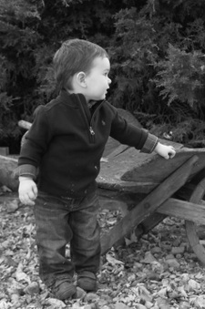 Enlarge photo 84