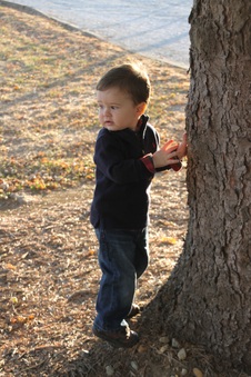 Enlarge photo 120