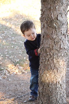 Enlarge photo 124
