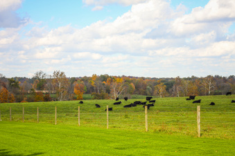 Enlarge photo 10