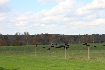 Enlarge photo 11