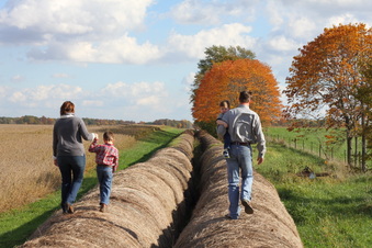 Enlarge photo 85