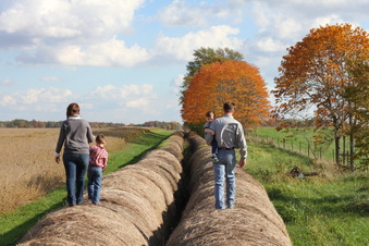 Enlarge photo 86