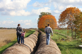 Enlarge photo 87