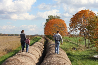Enlarge photo 88