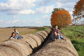 Enlarge photo 93