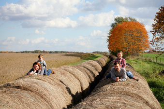 Enlarge photo 95