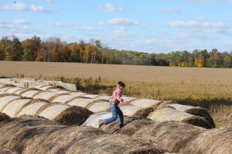 Enlarge photo 107