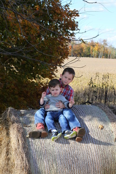 Enlarge photo 120