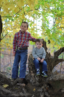 Enlarge photo 159