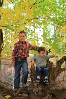 Enlarge photo 172